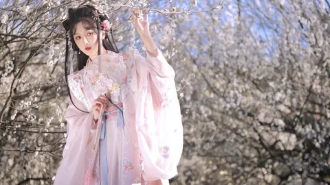 波音737客机迫降