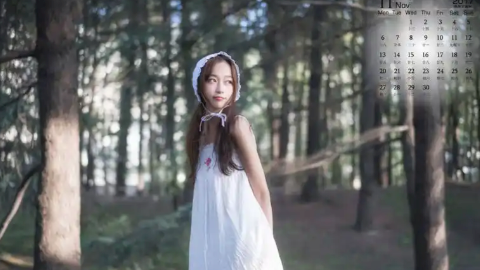 平台经济反垄断合规