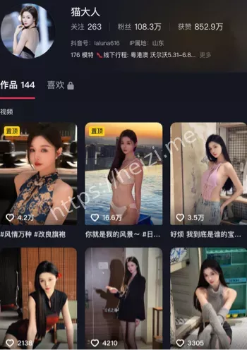 猫大人