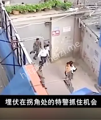感情纠纷
