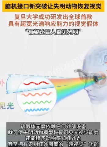 视觉革命