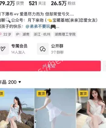 擦边网红