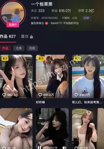 一个板栗栗