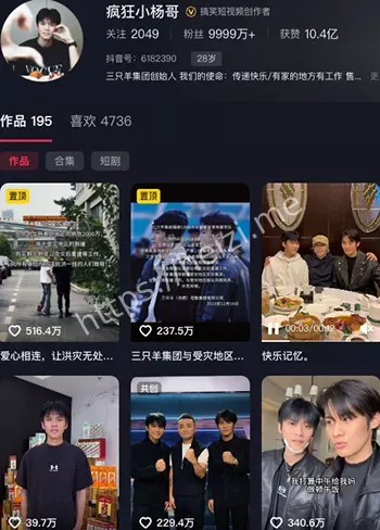 小杨哥
