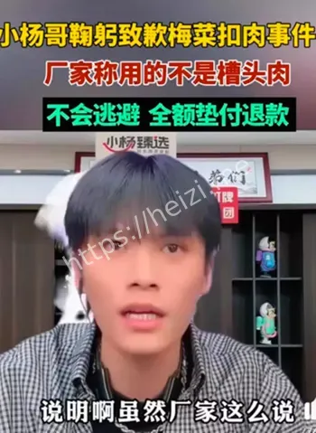 网红落魄