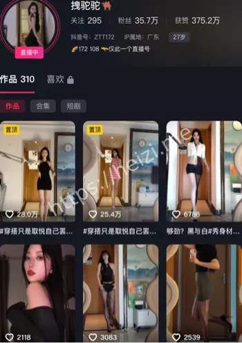 拽驼驼