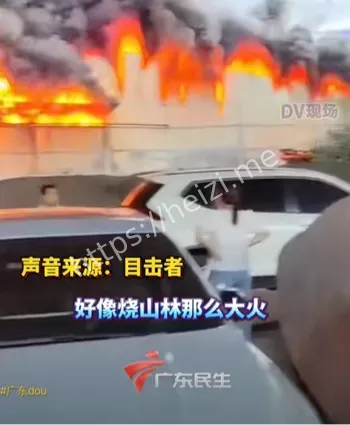 农资大棚