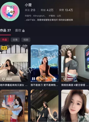 百万网红