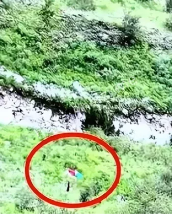 丽江失联