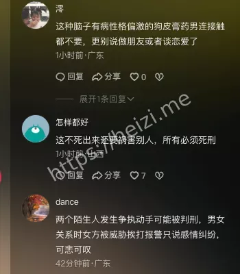 案件进展