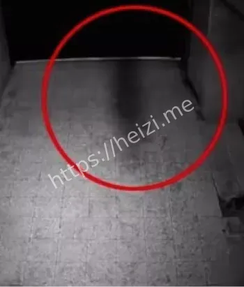 黑子网