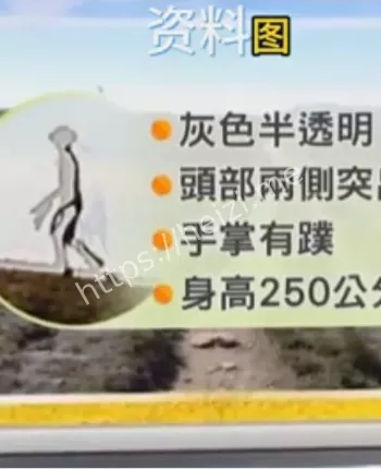神秘轮廓