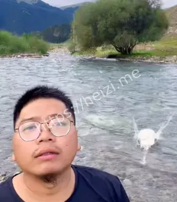 合伙人纠纷