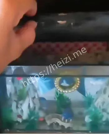 白衣女鬼