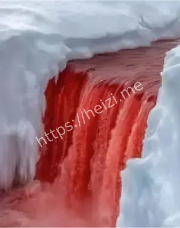 血瀑布之谜
