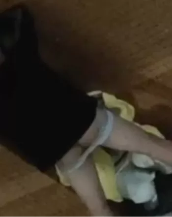 不雅照
