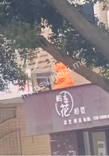 马蜂蛰人