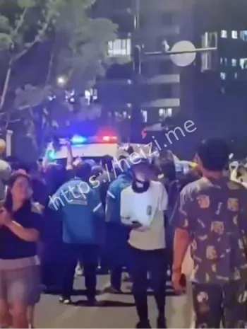 临港新片区