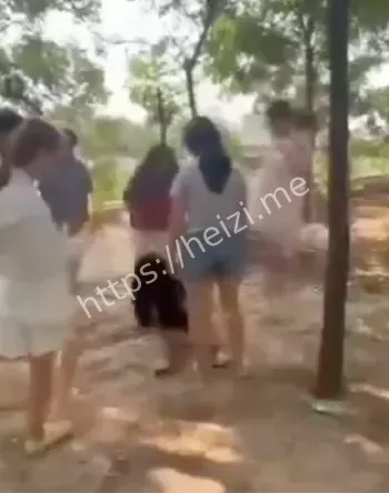 校园暴力