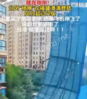 11级狂风