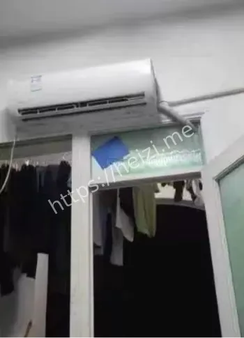 周立人