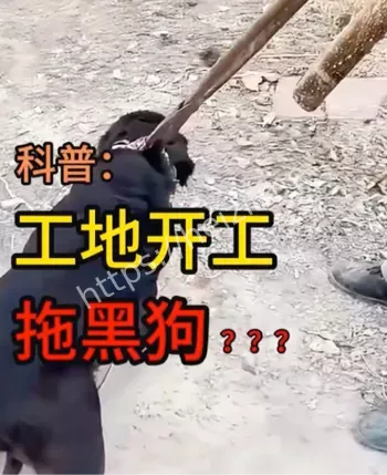 举报