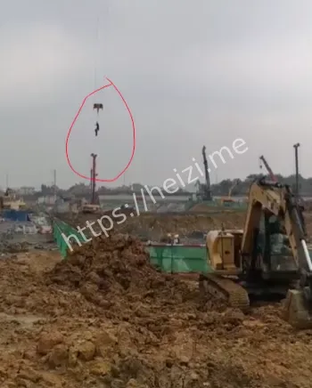 动物保护