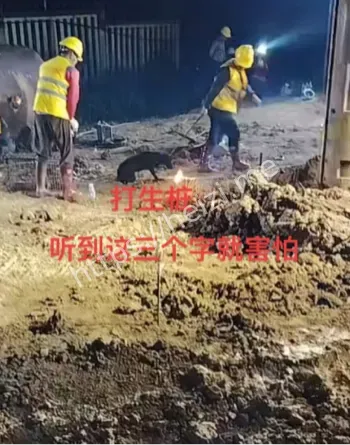 黑狗祭祀