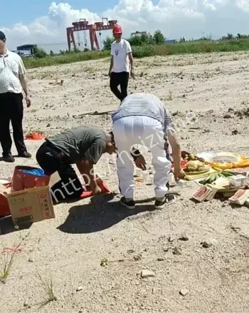 举报