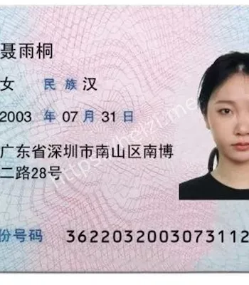 上海纽约大学