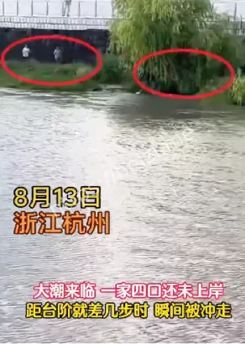 钱塘江鬼王潮