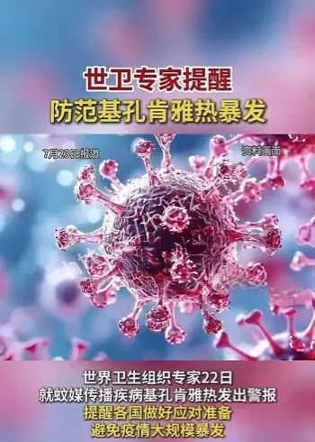 基孔肯雅热