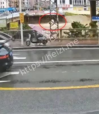 东莞塘厦
