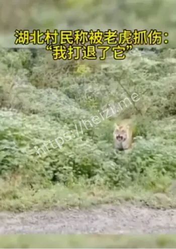 虎口逃生