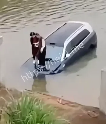 问界汽车