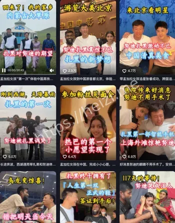 丹努