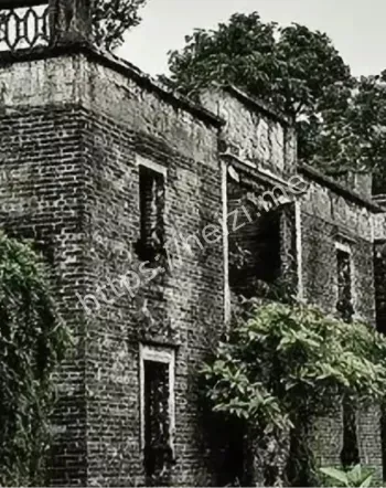 云南龙井村
