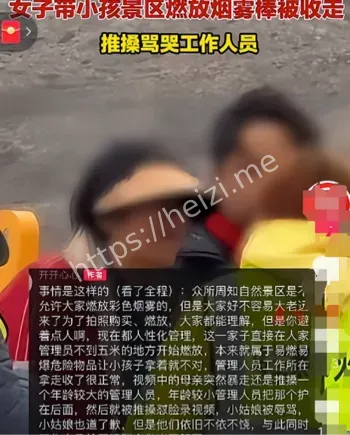 游客群殴