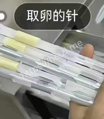 聋哑女代孕