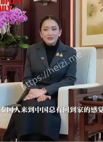 他信家族诅咒