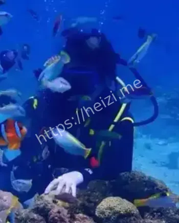 老爷庙水域