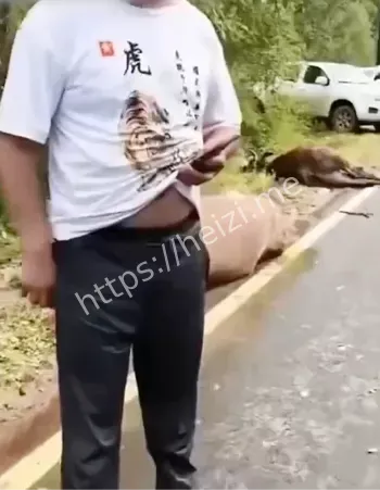 大货车失控