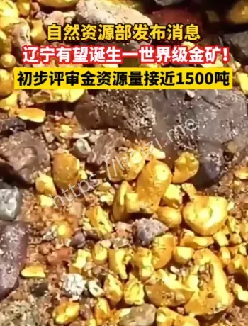 辽宁金矿