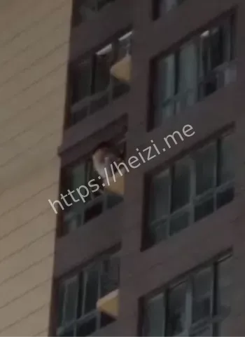 突发公共安全处置