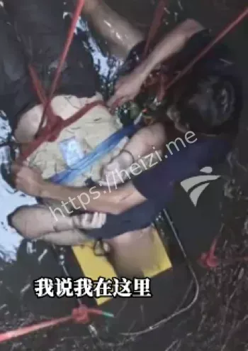 顽强求生