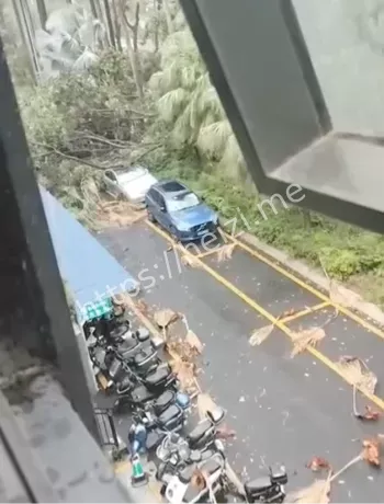 校园停课与复课安排