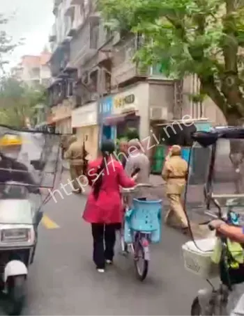 乐山苏稽