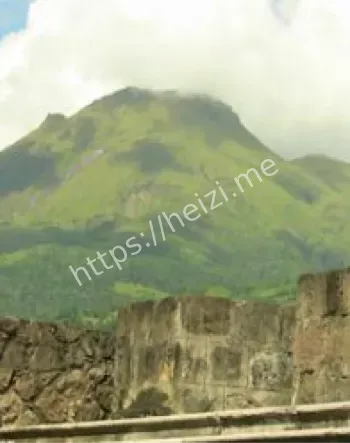 西尔巴里斯地下囚室幸存