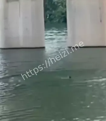 资江二桥跳河事件