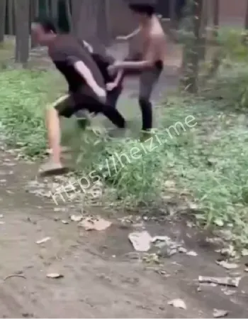 霸凌黑幕社会热议